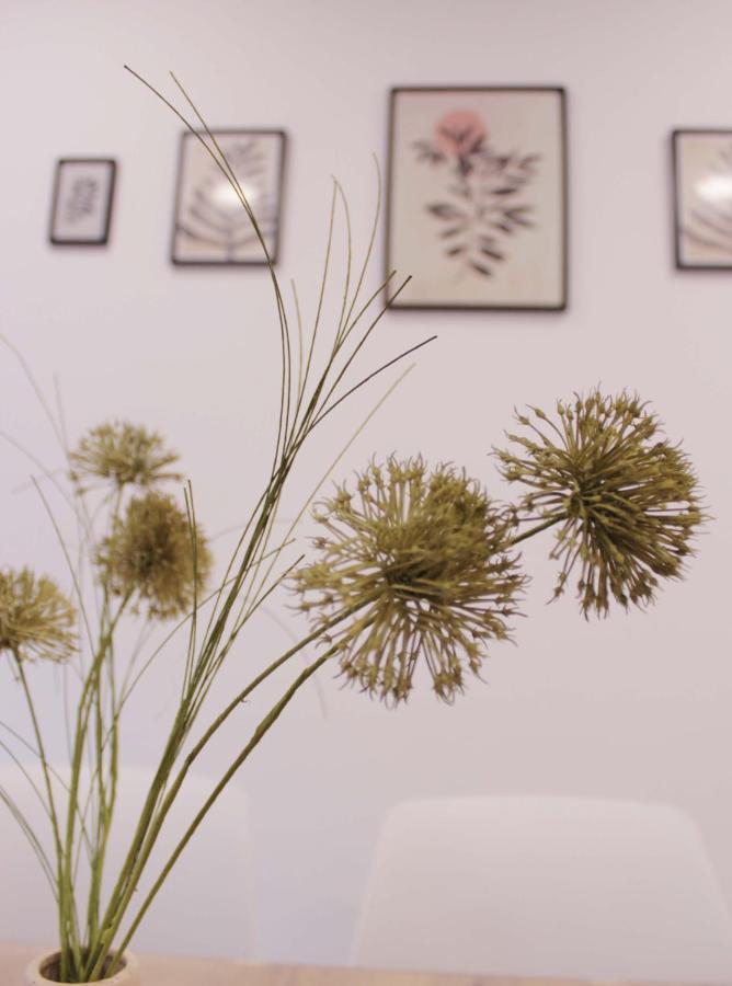 Cuenca Home Eksteriør bilde